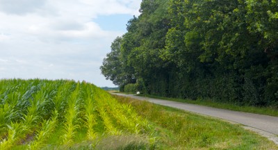 Reutum, Zonnebergweg ter hoogte van de boerderij van Benman. juli 2026