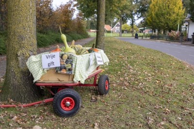 Pompoenen Reutum Oktober 2024