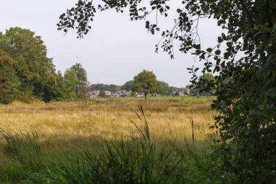 Gezicht op Reutum vanuit de Weuste