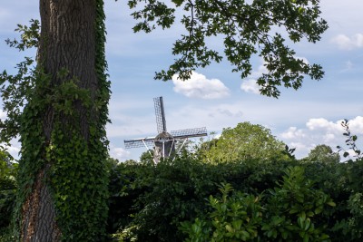 Molen de Vier Winden juli 2025
