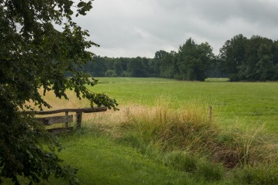 Reutum gezicht op de Weuste. 2025 26 juni.
