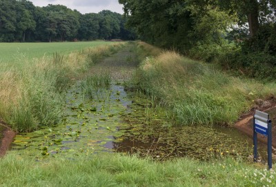 Reutummerbeek 26 juni 2025